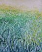 Prairie Grass 1